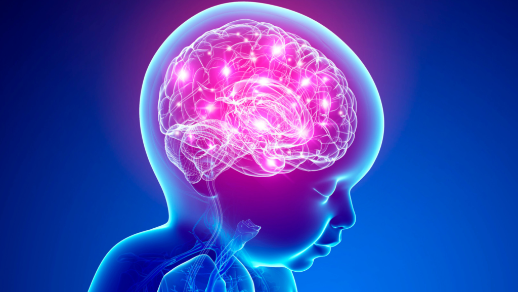 Neurodesenvolvimento Infantil