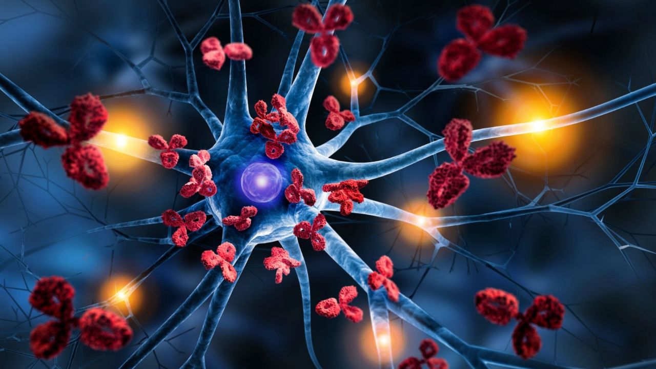 Doenças autoimunes e inflamatórias